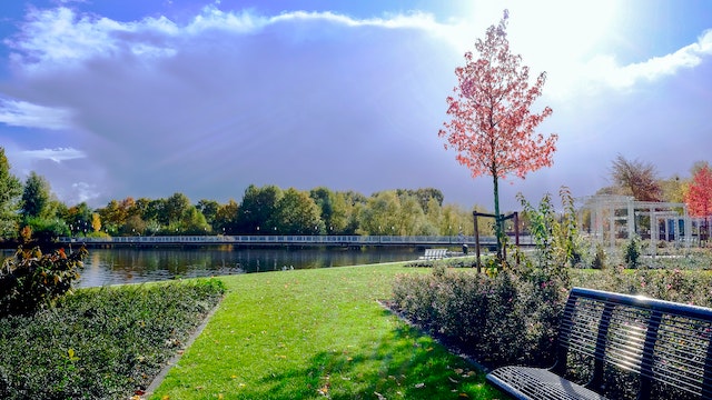 Le Jardin – Un Refuge de Beauté et de Sérénité